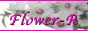 flower-R